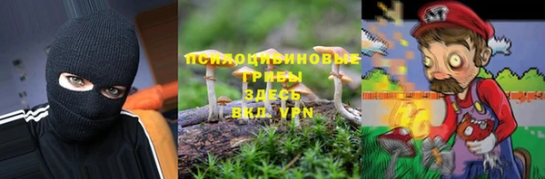 PSILOCYBIN Богородицк