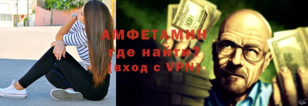 индика Богданович