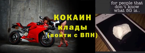 индика Богданович