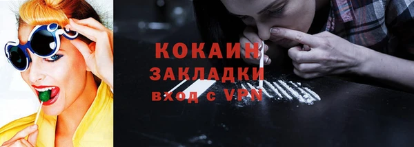 индика Богданович