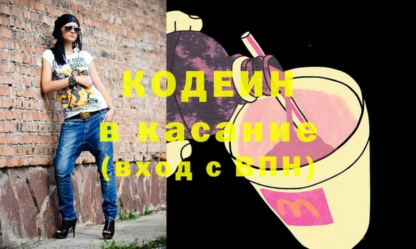 индика Богданович