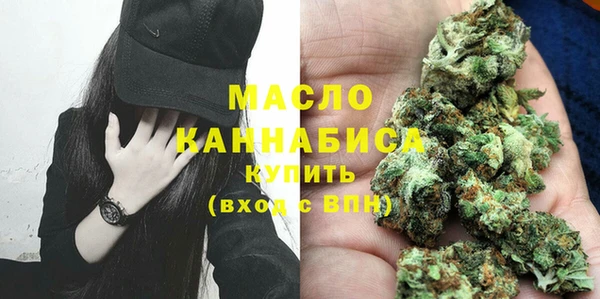индика Богданович
