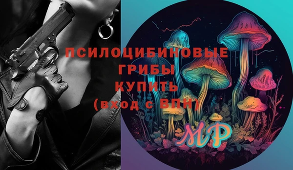 ешки Белокуриха