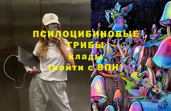 прущая мука Богородск