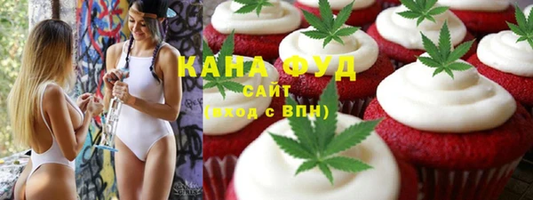 индика Богданович