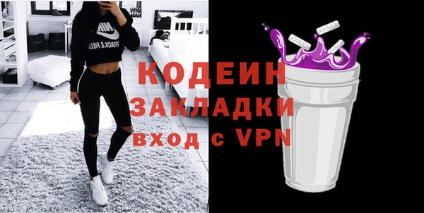 индика Богданович