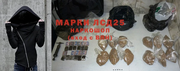 индика Богданович